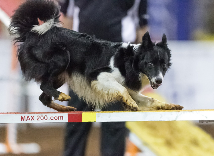 Agility-Event-Workshop-April-2025