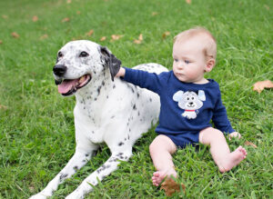 In-Home-Training-Dalmatian-Child